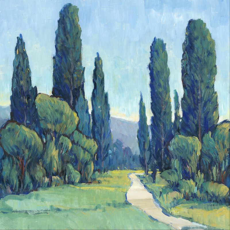 Cypress Path II - Wrapped Canvas Print, 122cm H x 122cm W