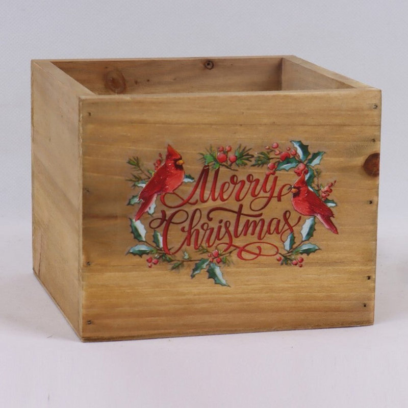 Merry Christmas with Cardinals And Holly