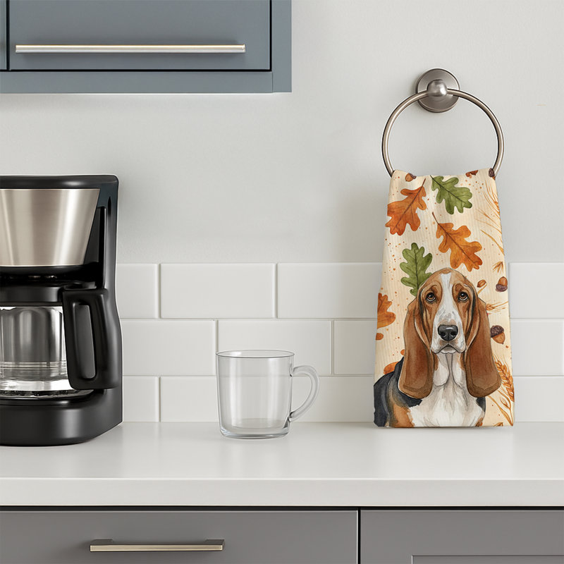 Torchon tricolore et blanc Basset Hound Heirloom, Basset hound tricolore et blanc