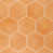 Orange 8" Hexagon