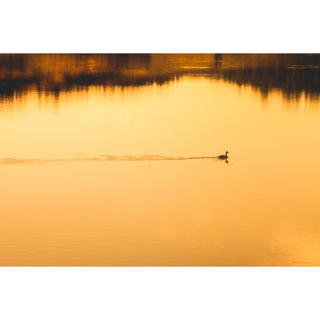 Teich bei Sonnenaufgang oder Sonnenuntergang von Debibishop - Leinwandbild