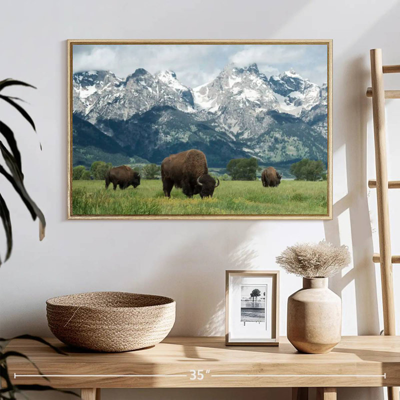 Bison Teton broutant, 25 po x 17 po, Cadre flottant en bois naturel