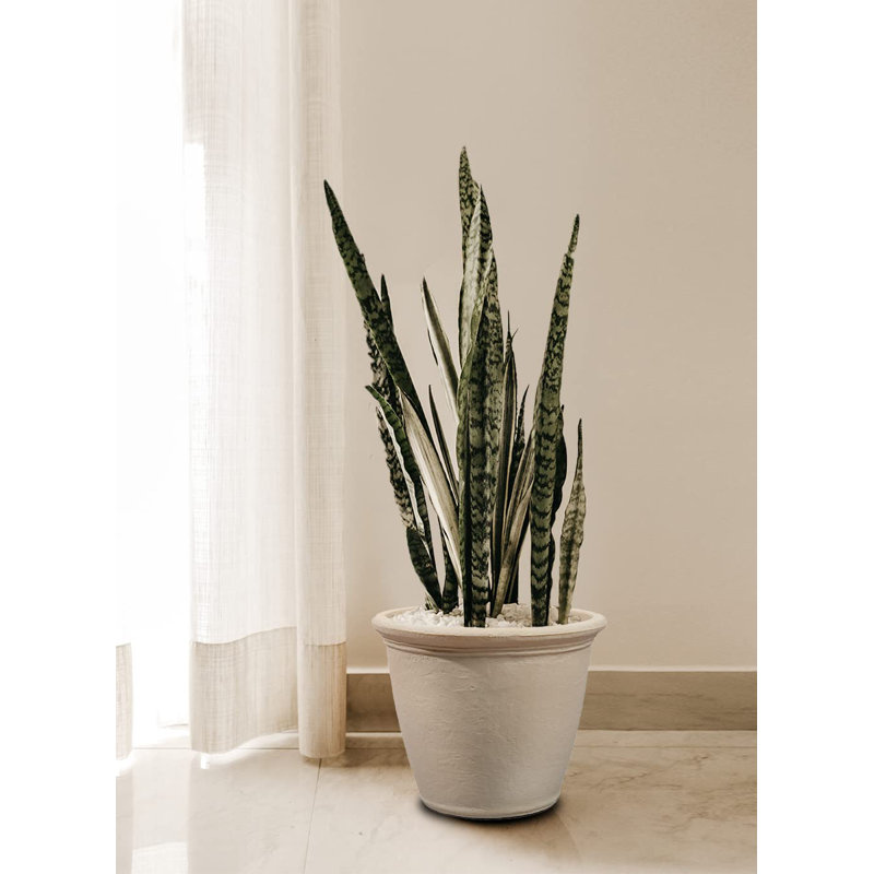 Pot à fleurs en polyéthylène, H 16 po x l 19 po x P 19 po