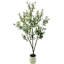 Plant-1040482889