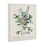 «Botanical Plant Illustration Flowers and Leaves Vintage», impression-734867531-734867541