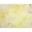 Abheek Abstract Square Cushion