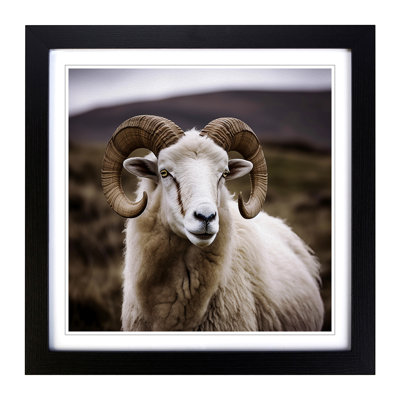 Ram Sheep - Single Picture Frame Print on Wood