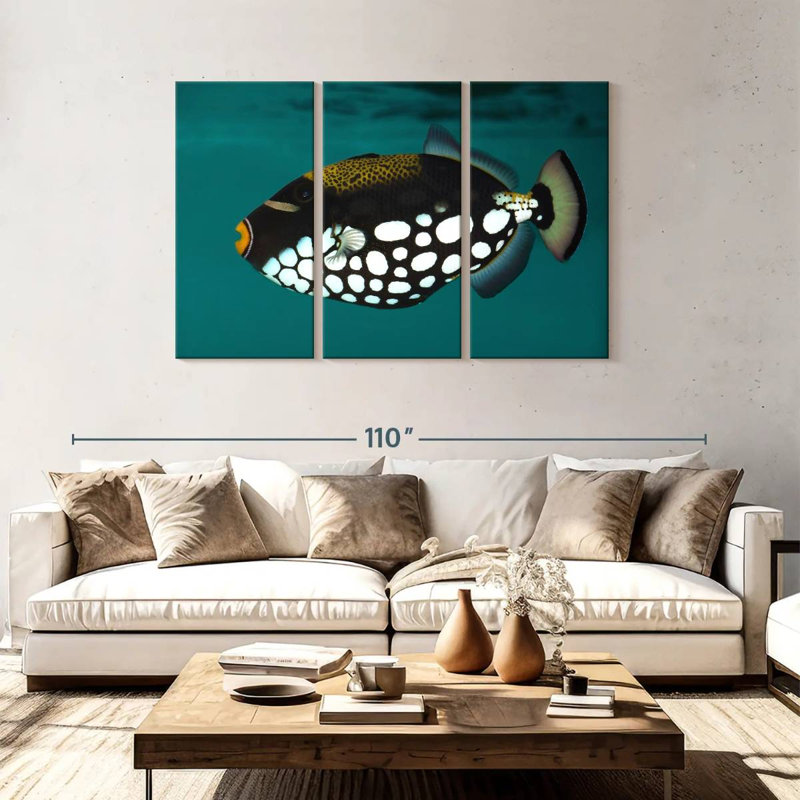 Brampt Clown Triggerfish Pet, H 48 po x l 74 po
