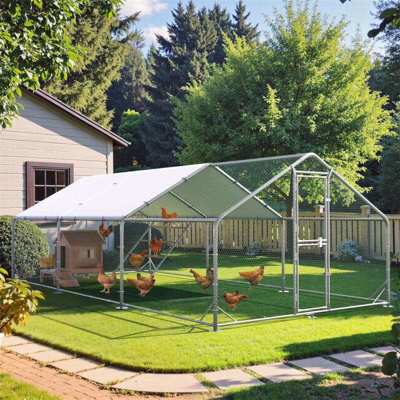 Grand poulailler en métal, H 78,74 po x l 118,11 po x P 236,22 po