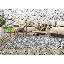 Warrington Moroccan Indoor / Outdoor Area Rug-850436021