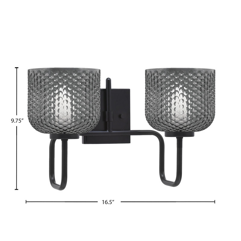 Barre d'éclairage de salle de bain 2 lumières Amarmula, finition noir mat, verre texturé fumée 6 po, Noir, Transparent/noir