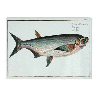 Tempered Glass Knife-Carp Fish by M.E. Bloch Chopping Board