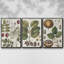 Ensemble de 3 cadres photo sur toile Antique Foliage and Fruit VI-97759109-97759108