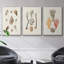 Knorr Shells & Coral IV-91887228-91887229