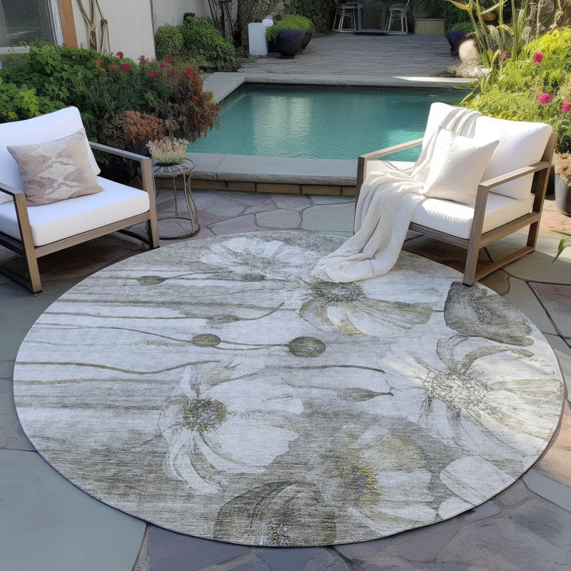  Emblyn Area Rug, Round 8'