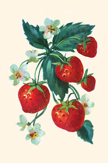« cinq fraises et fleurs », impression, H 42 po x l 28 po x P 1,5 po
