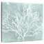 Algue Brampt sur turquoise II-109228263