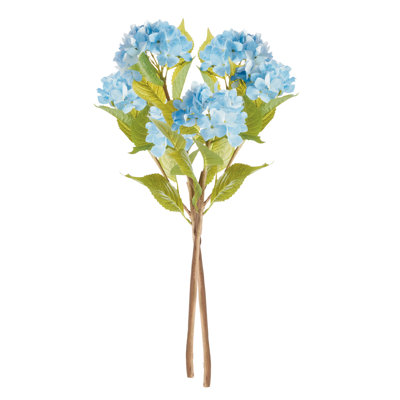 BRANCHES 31 po HYDRANGEA, ENSEMBLE DE 2