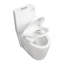 Toilette une pièce, 1,1 / 1,60 GPF écoénergétique, double chasse allongée, hauteur confort, fixation au sol, toilette standard avec siège à fermeture douce inclus-130060075
