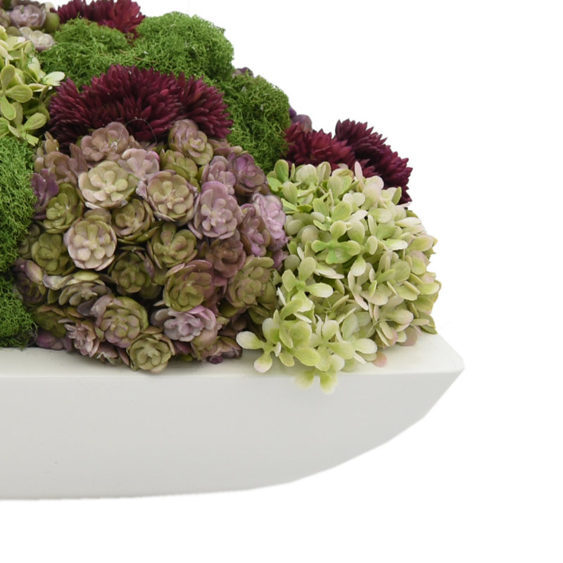 Multi Colored Assorted Sedum In Planter, 5.5"H x 20" W x 8" D, Oval