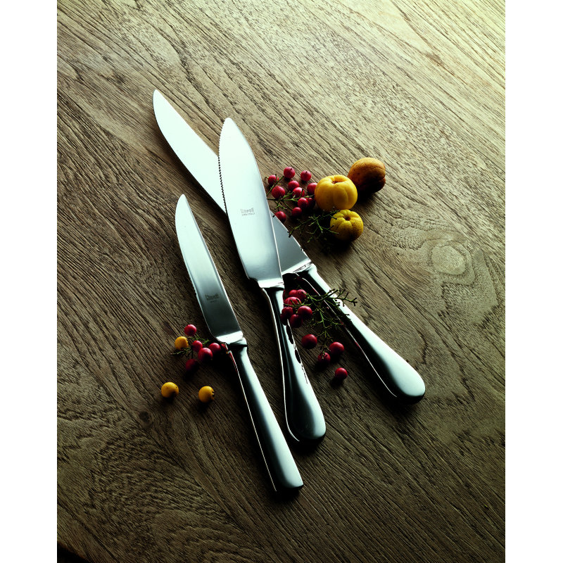 STEAK KNIVES 4 - Piece Stainless Steel Steak Knife Set, Ice Black Gold