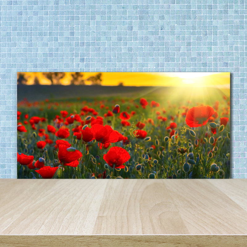 50cm W x 100cm L Glass Peel and Stick Panel