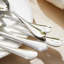 Flatware Set 18/10 Stainless Steel Silverware-501856865