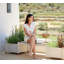 Sticks Outdoor Teak Bench-576714425