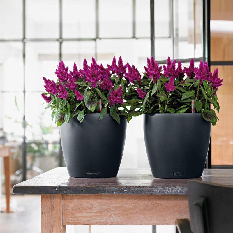Classico Pot Planter, Slate, 32.5cm H x 34.5cm W x 34.5cm D