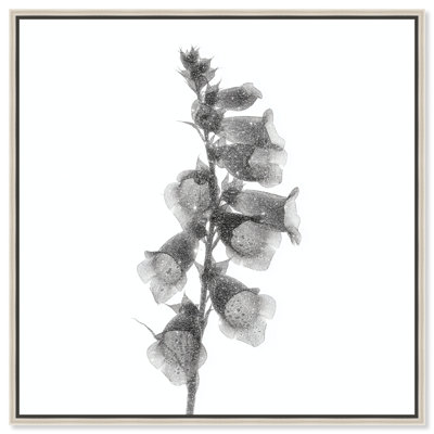 Ossified Petals II Canvas Floral & Botanical Print by Oliver Gal, Black Frame, 12 x 12
