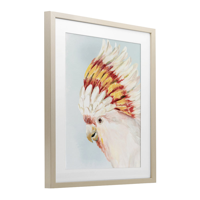 «Vivid Plumage Cockatoo», reproduction encadrée sous verre, conception par Hannah Dawson, Cadre de récolte en pin