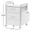 Ziolkowski 2-Drawer Mobile Vertical Filing Cabinet-1800518980