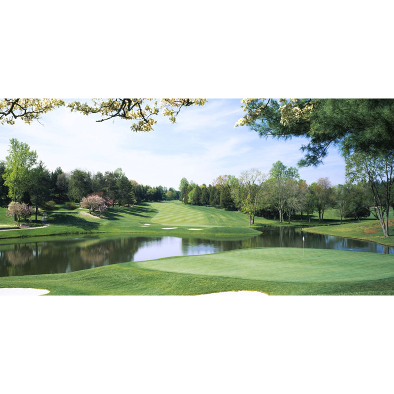 Forgue Wall Mural, 40" W x 80" L