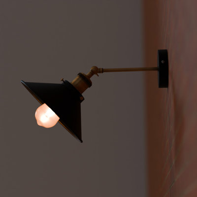 Princeton Swing Arm Sconce