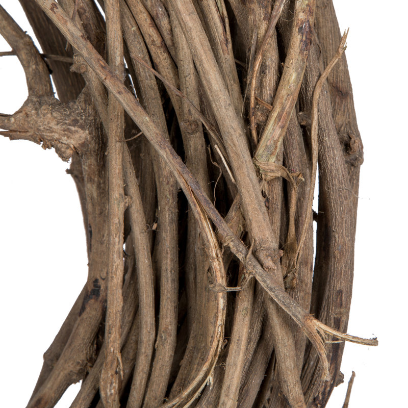 40'' Foliage Plant
