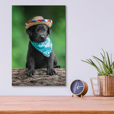 «Black Lab Pup 6» par Jonathan Ross