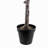 7FT Magnolia Tree w 9.5" Black plastic pot