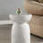 ACME Dylana Accent Table, Natural Gray Finish