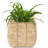 Mckenna Pot Planter-1201588323