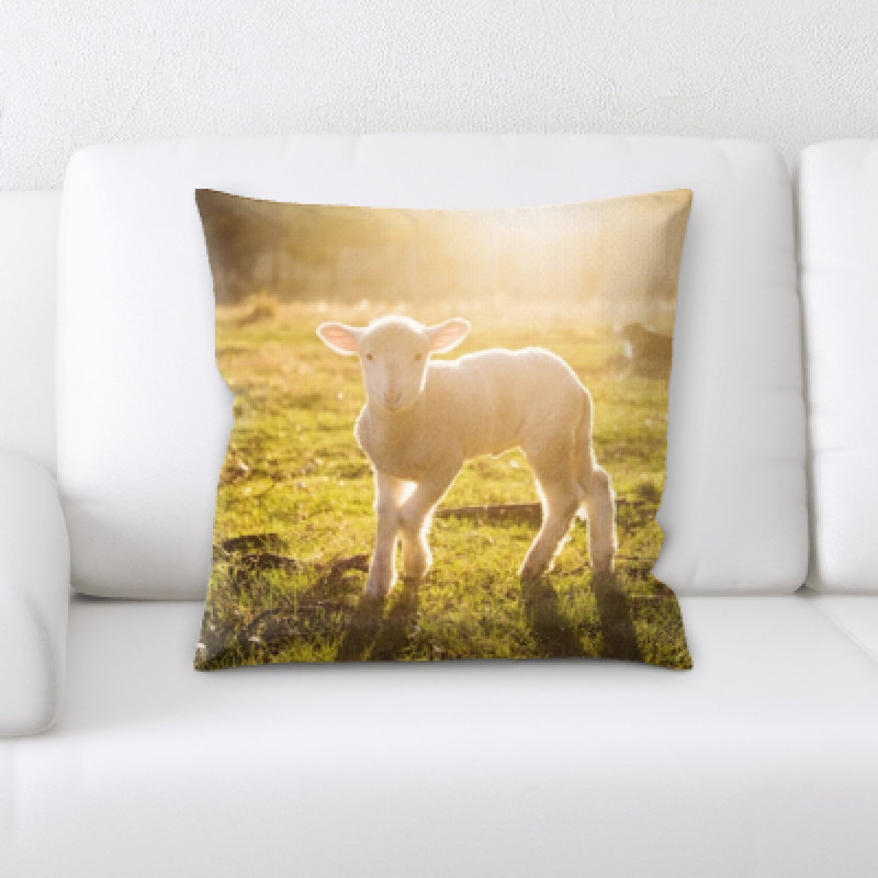 Microsuede Reversible Throw Pillow