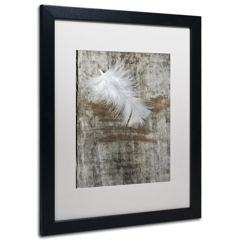 « white plumes on wood », reproduction de photo sur toile, H 14 po x l 11 po x P 0,5 po, Noir