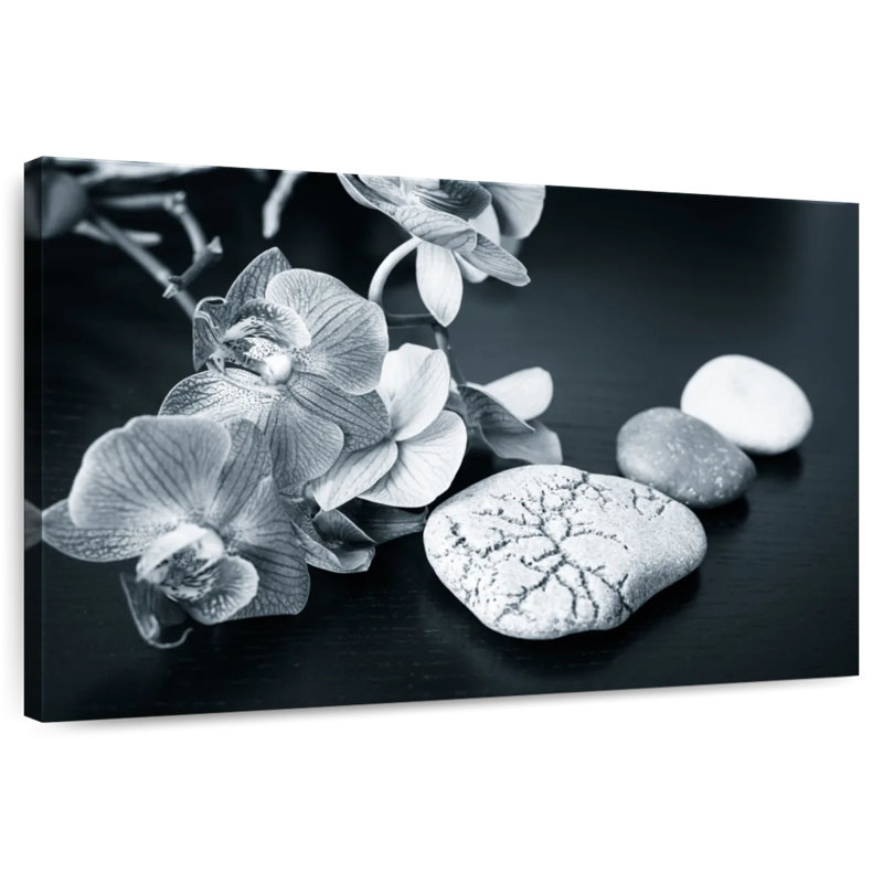 Orchidées Harnek, H 8 po x l 12 po