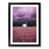 Black Framed