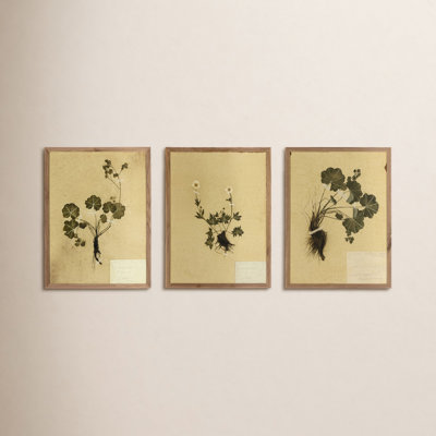 "Petite Study Triptych" by Hannah Winters