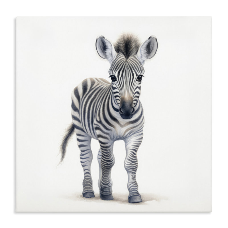 Friendly Zebra Foal Canvas, design by Ray Powers, 24" H x 24" W