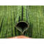 Tapis surdimensionné vert en laine noué à la main 12 pi 2 po x 15 pi D68E92DD18D64836B232B64D7410B6D2