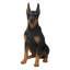 Statue de chien Doberman pinscher assis