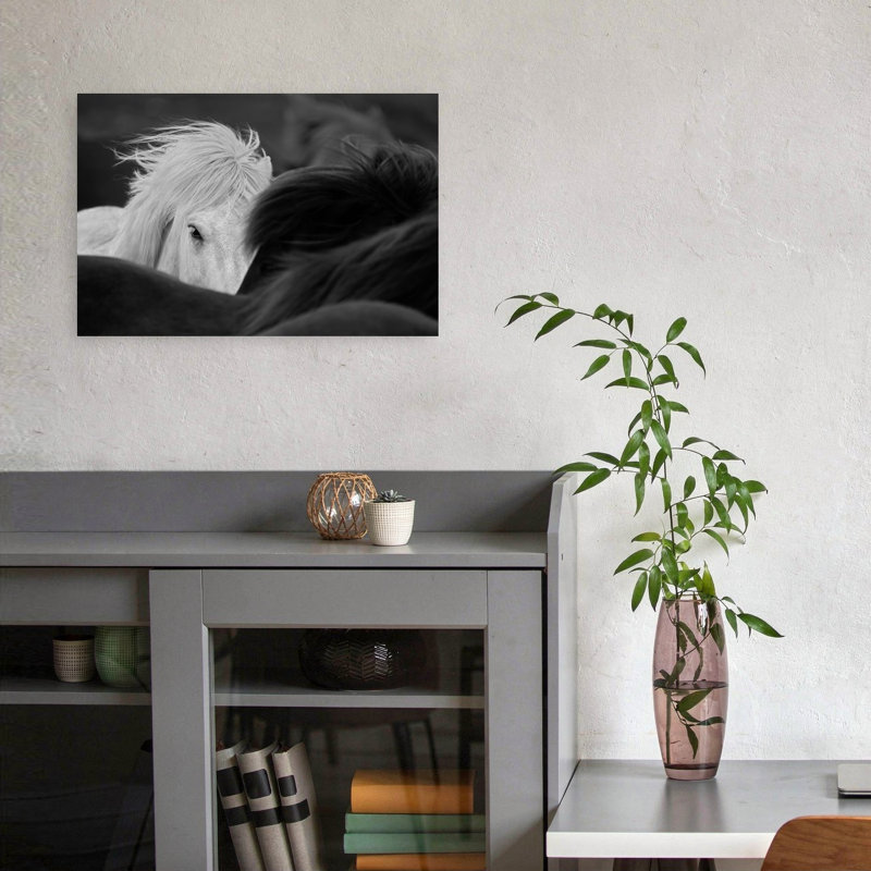 «Curious White Horse Gaze», art mural cheval contemporain, 12" H x 18" W