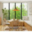 Strap 1 - Light Pendant-211666448