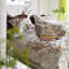 Margaretta Sepia Sham-1816588562